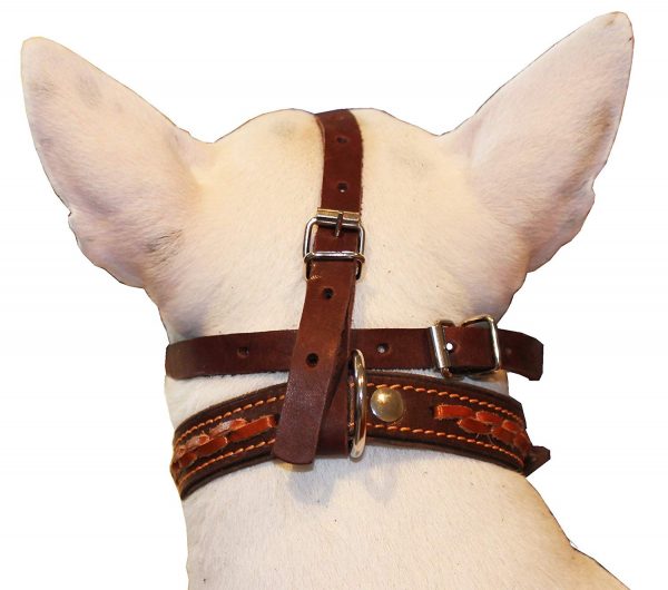 Dog muzzle store online