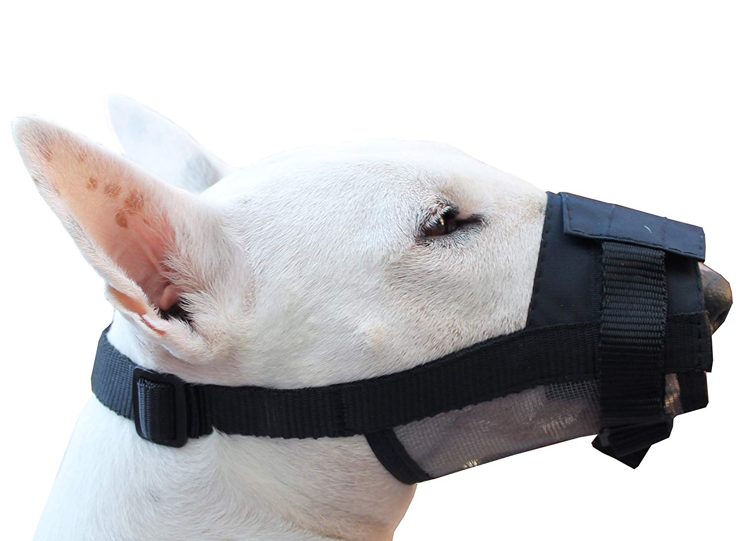 Cheapest Adjustable Nylon Dog Grooming Muzzle Cheap